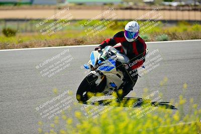 media/May-10-2024-2WTD (Fri) [[c88d7990af]]/Group C/Session 2-The Bowl/